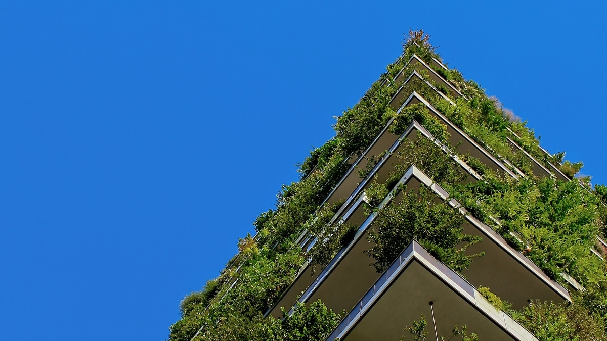 Stadtgebäude mit grüner Pflanzenfassade